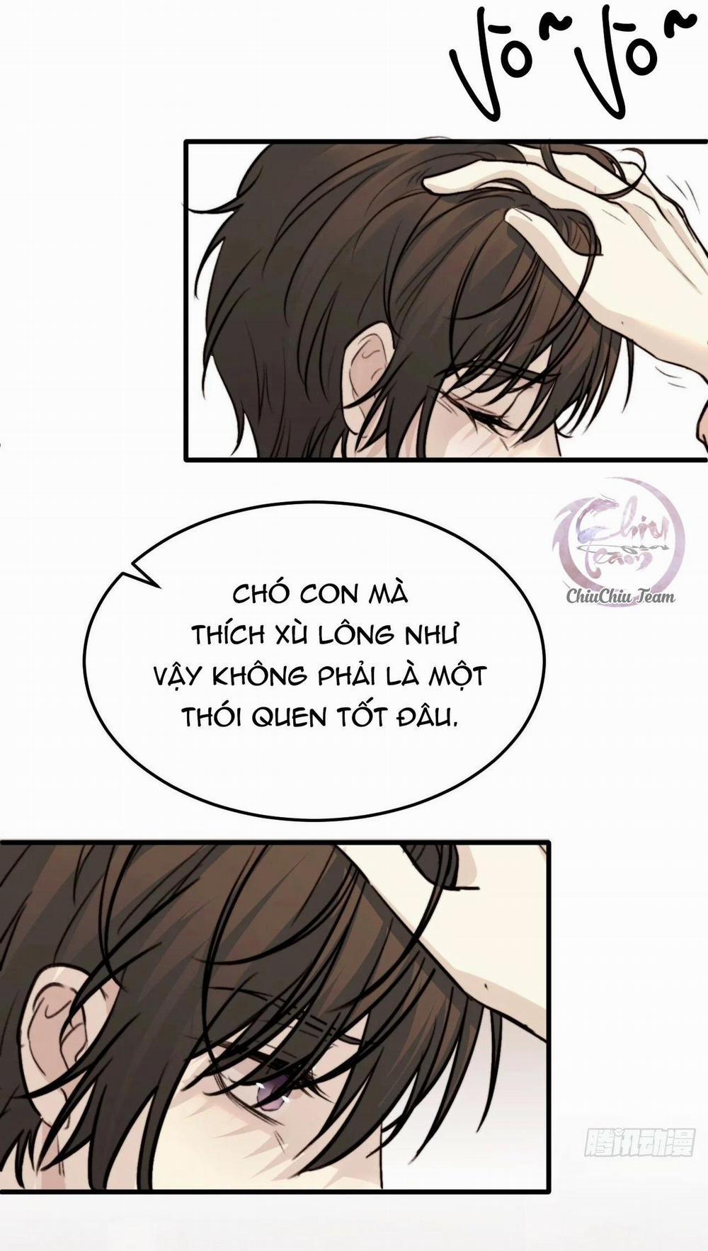 Chó Hư Khó Giữ 21 trang 5