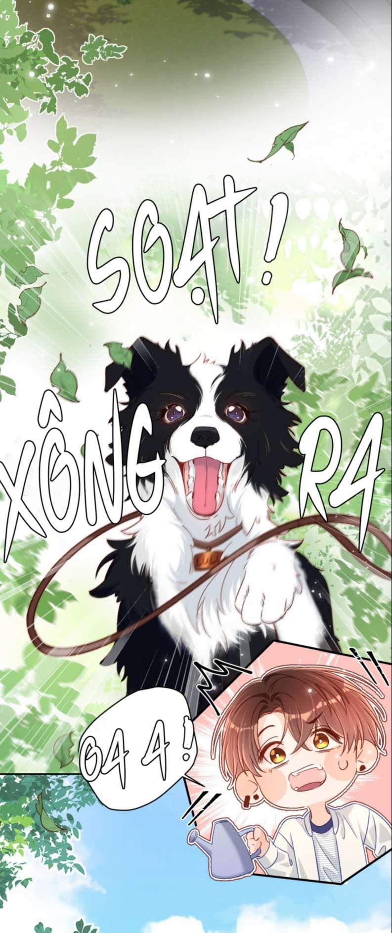 Cho Là Thật 29 trang 23