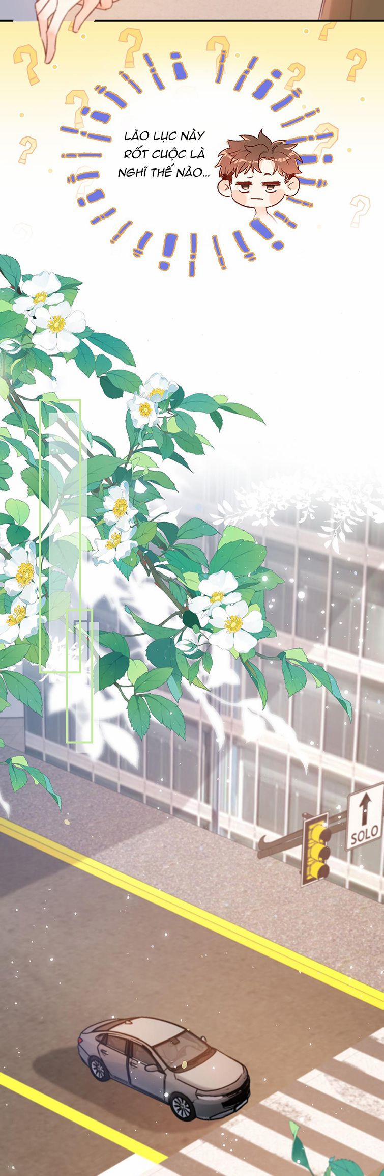 Cho Là Thật 36 trang 4