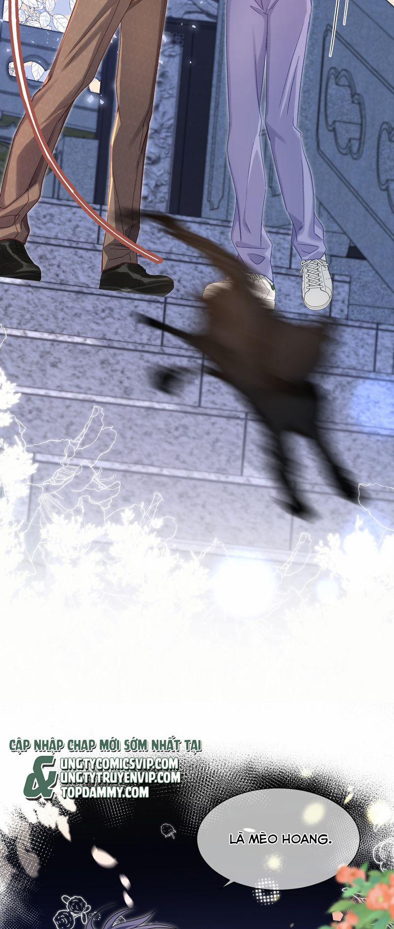 Cho Là Thật 51 trang 24