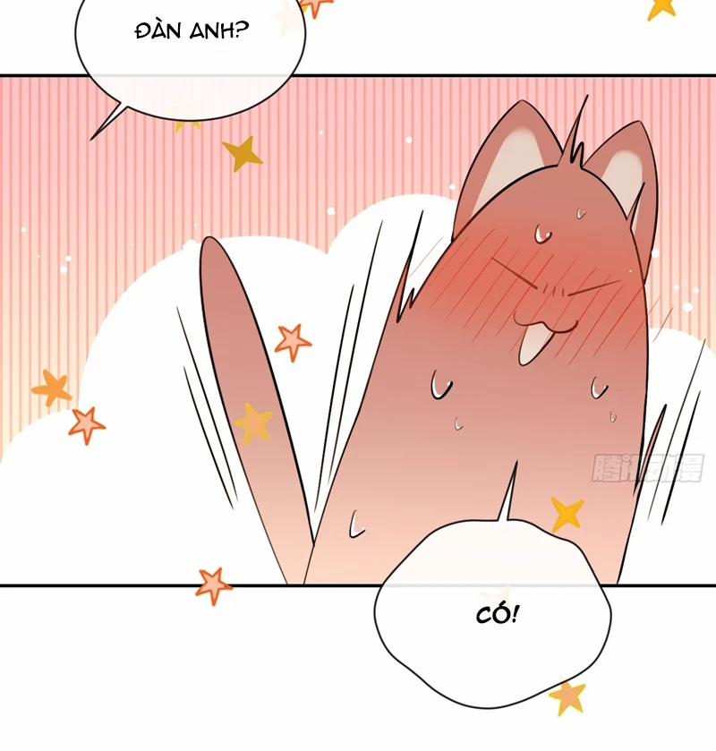 Chó Lớn Bắt Nạt Chủ 72 trang 12