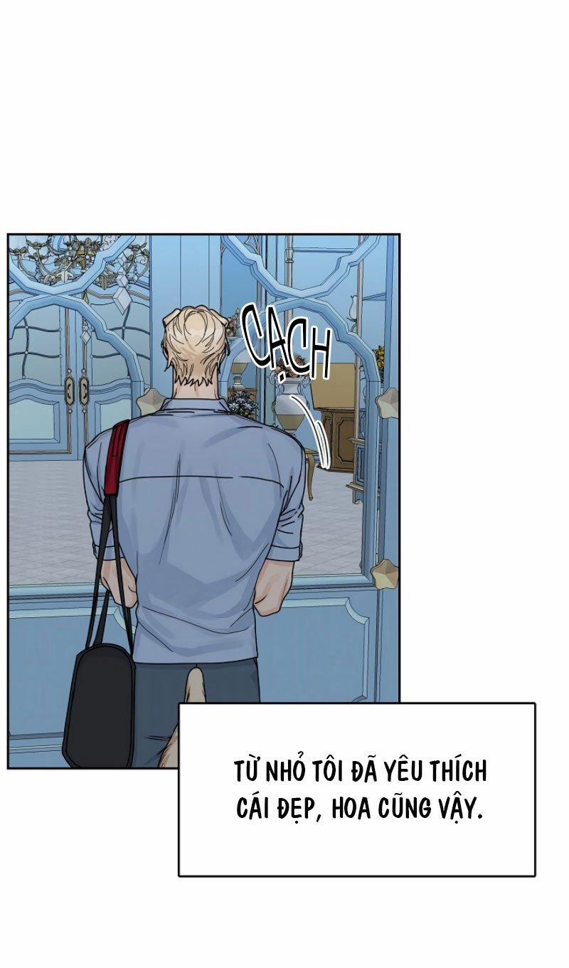 Cho Tôi Ăn Anh Đi! 1 trang 31