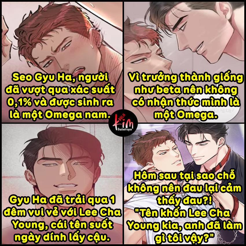 Chó Và Chim 0 GIỚI THIỆU trang 0