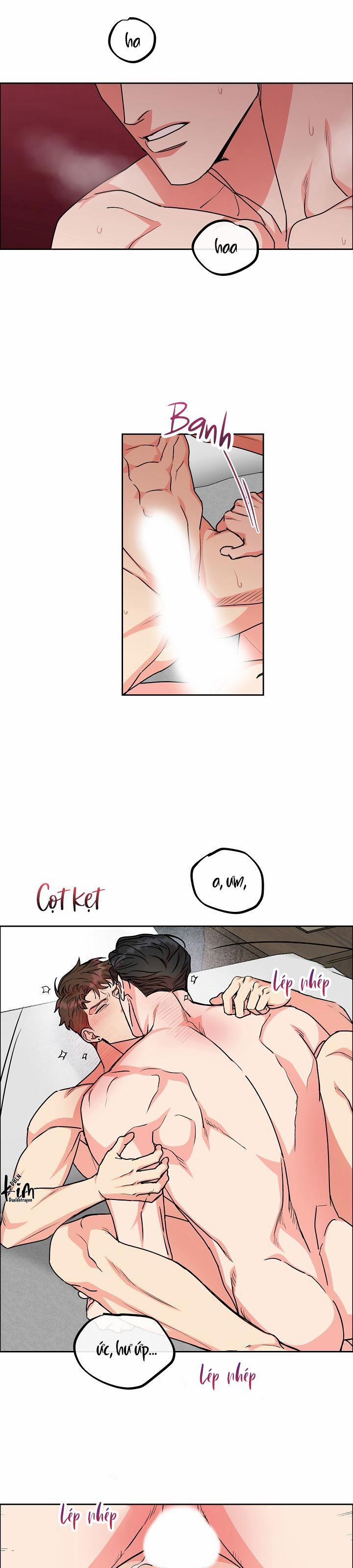 Chó Và Chim 25 END SS1 (Thắt nút) trang 12