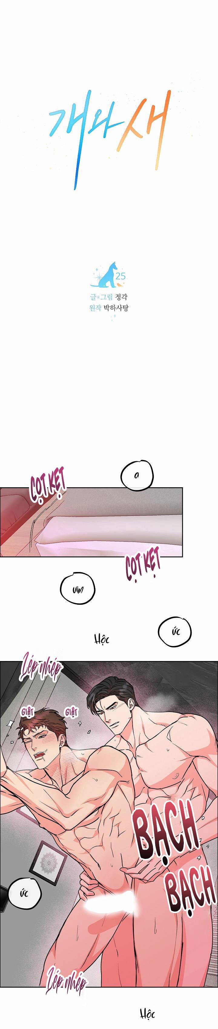 Chó Và Chim 25 END SS1 (Thắt nút) trang 18