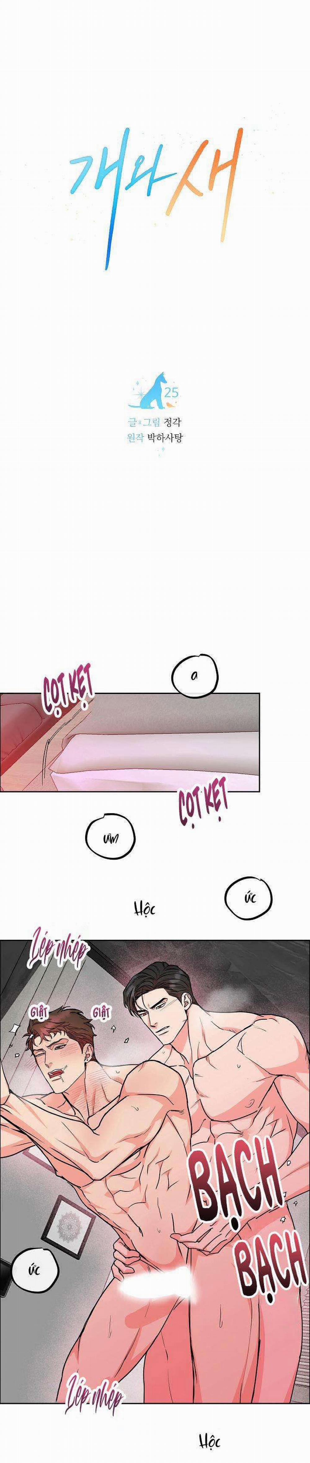 Chó Và Chim 25: H+++ trang 18