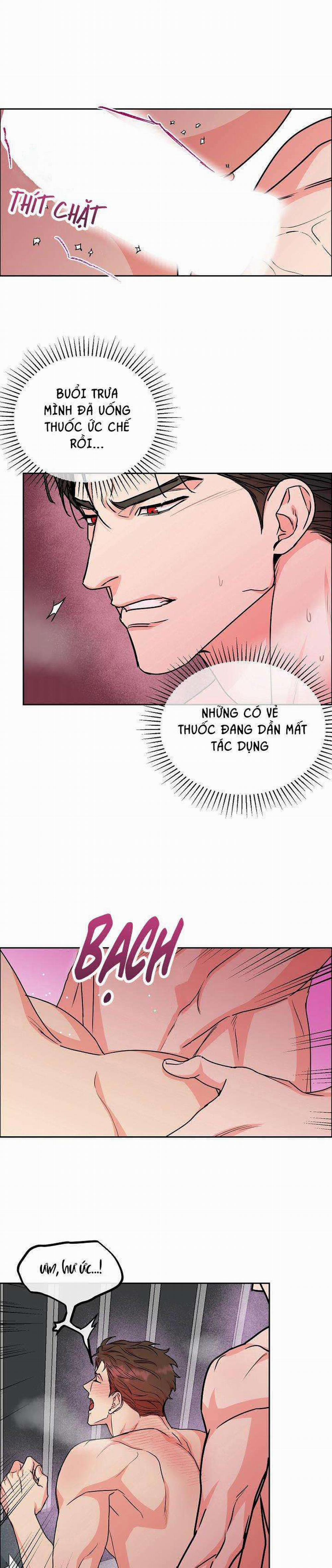 Chó Và Chim 25: H+++ trang 19