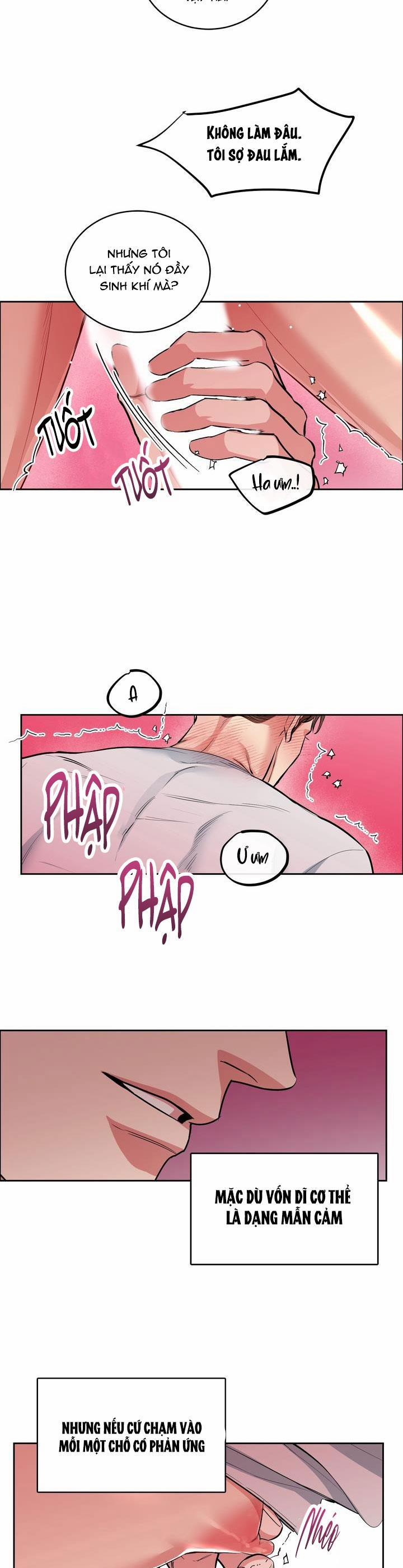 Chó Và Chim 27 ss2 trang 26