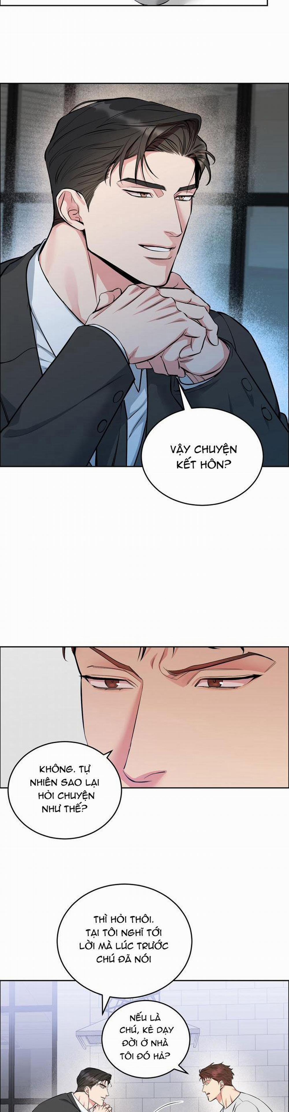 Chó Và Chim 27 trang 11