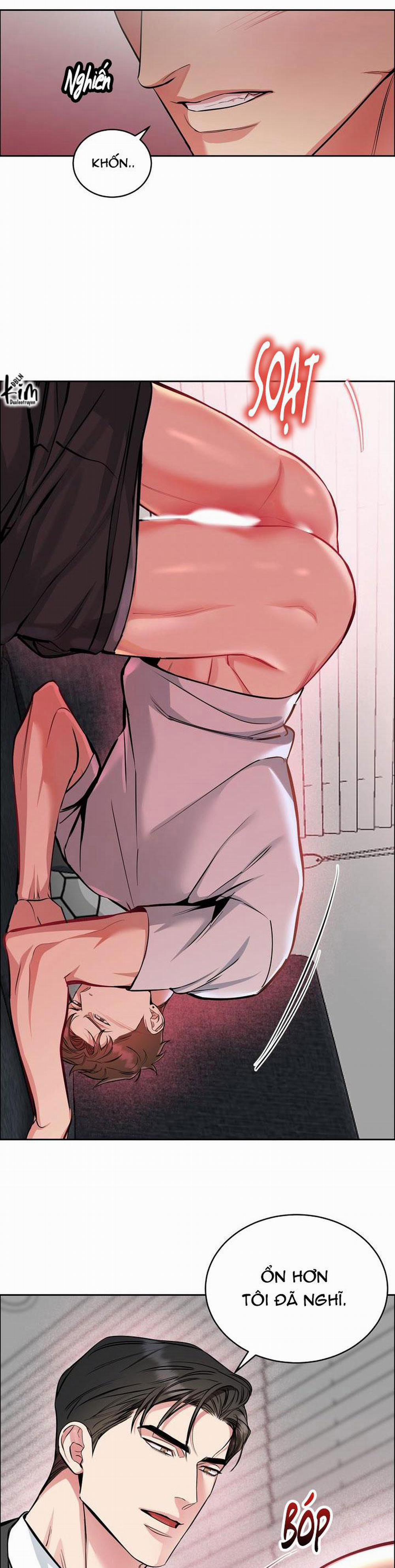 Chó Và Chim 28 trang 21