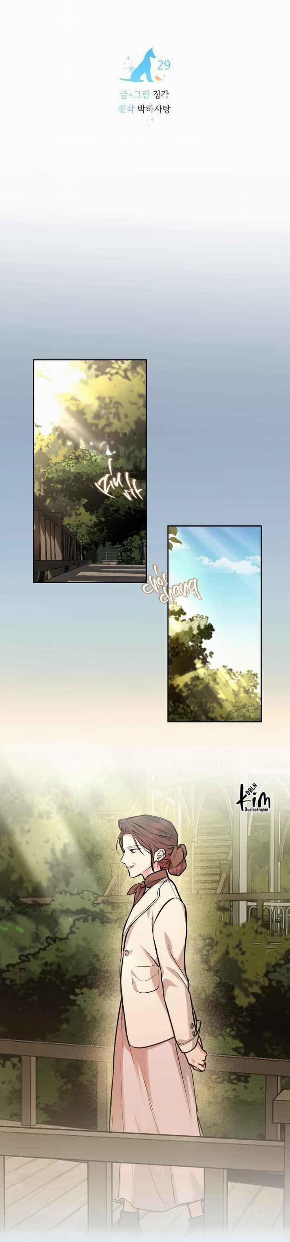 Chó Và Chim 29 trang 13