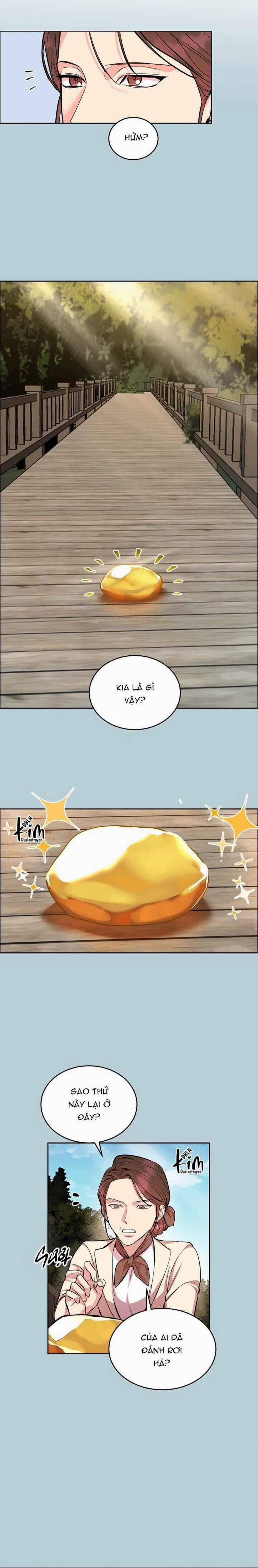 Chó Và Chim 29 trang 14