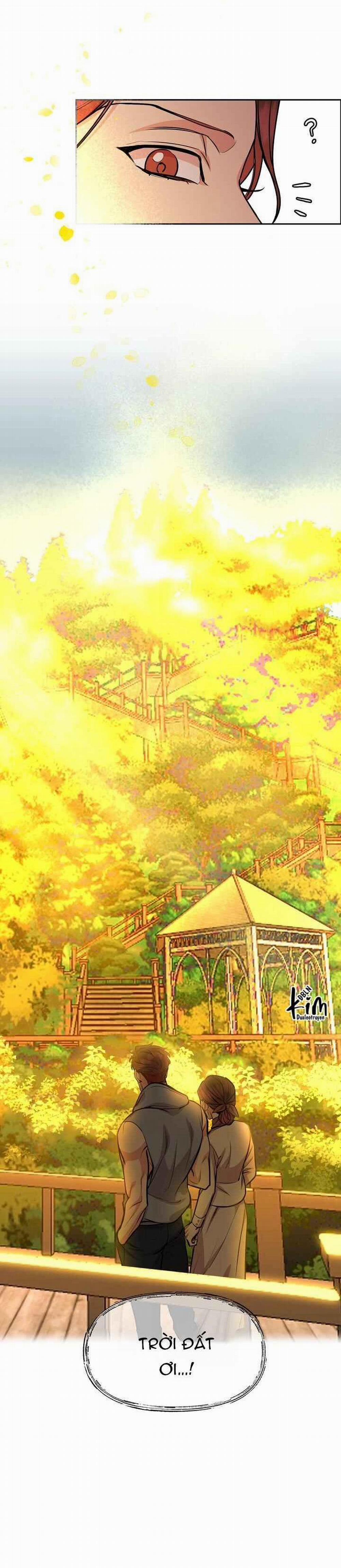 Chó Và Chim 29 trang 19