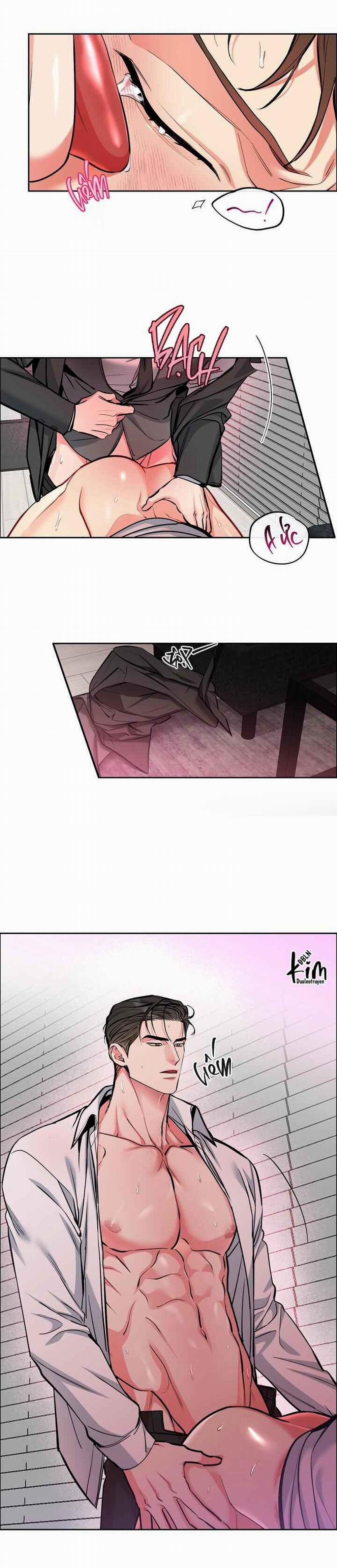 Chó Và Chim 29 trang 2