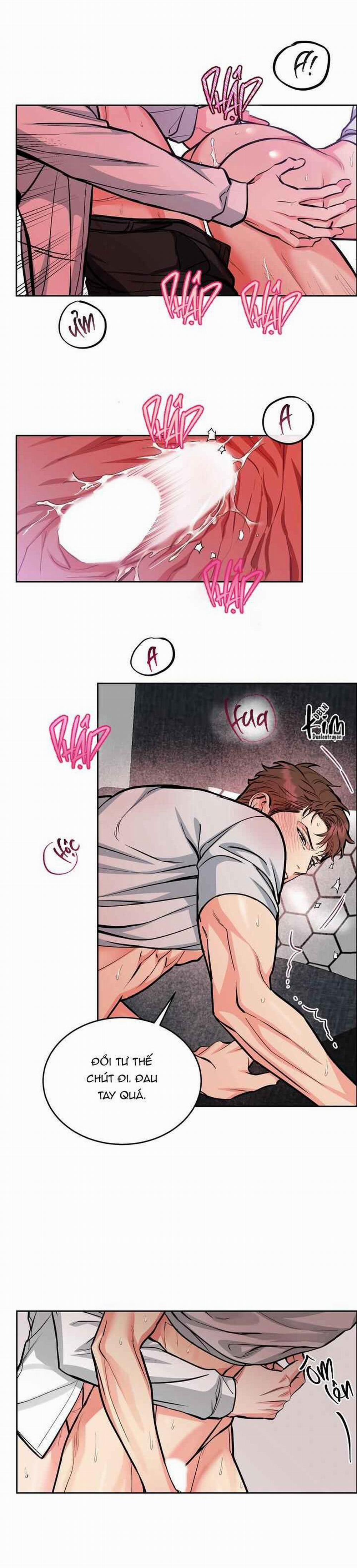 Chó Và Chim 29 trang 3