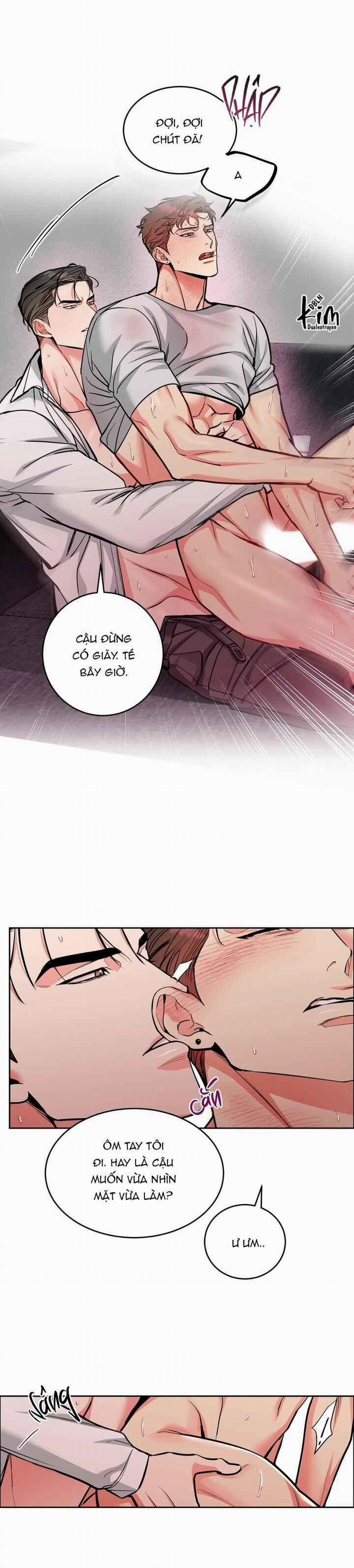 Chó Và Chim 29 trang 4