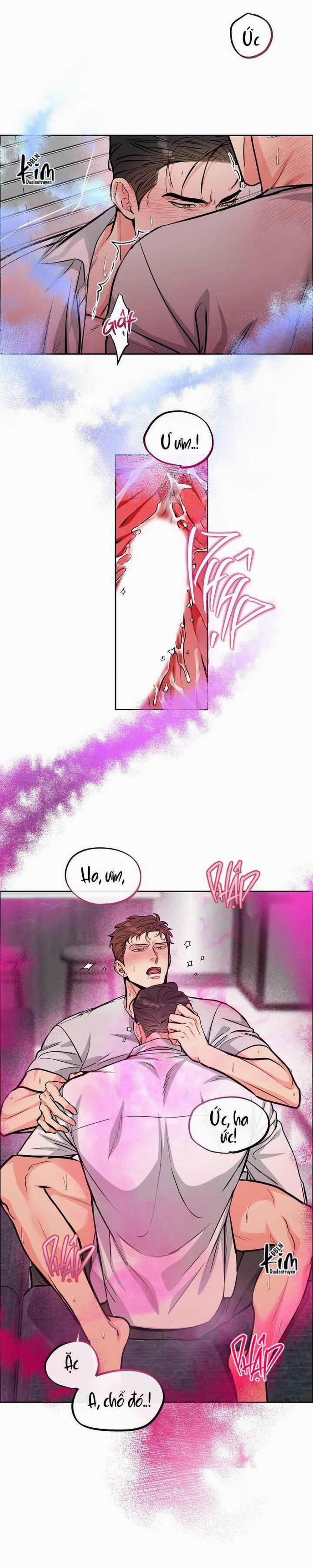 Chó Và Chim 29 trang 6