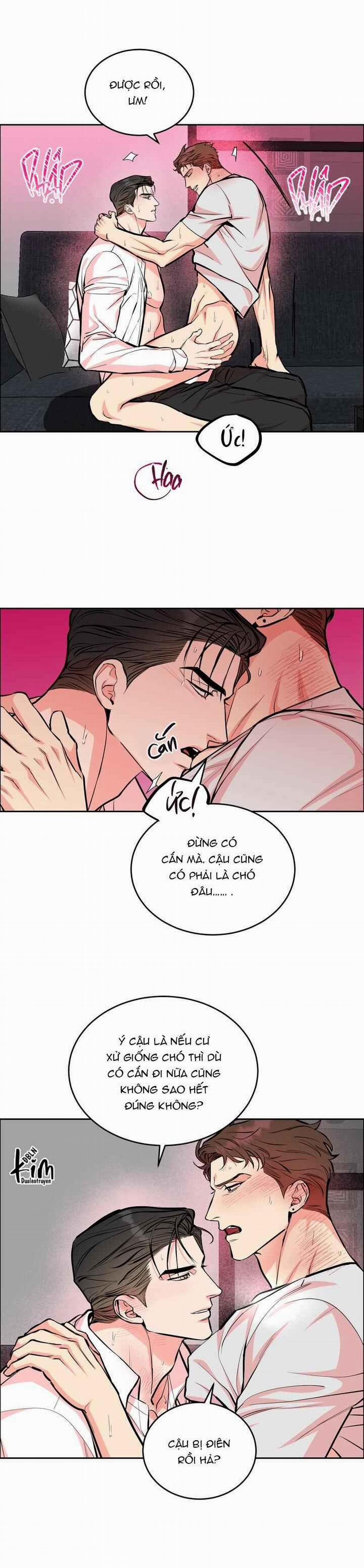 Chó Và Chim 29 trang 7