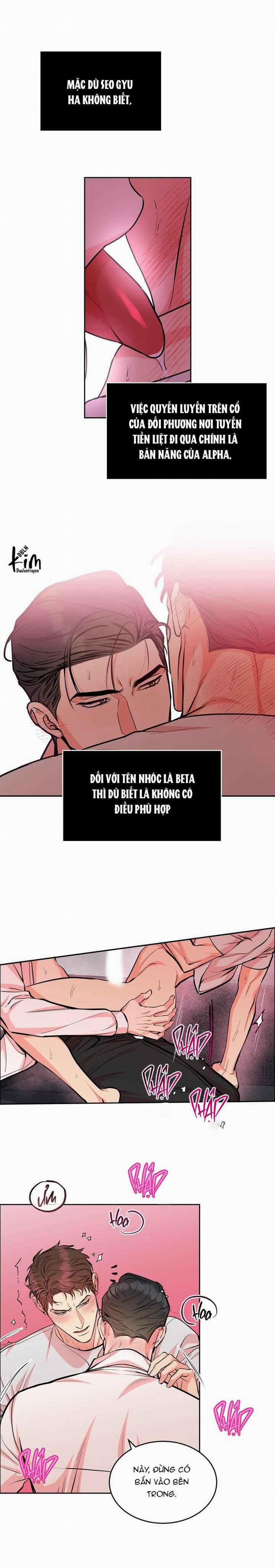 Chó Và Chim 29 trang 8