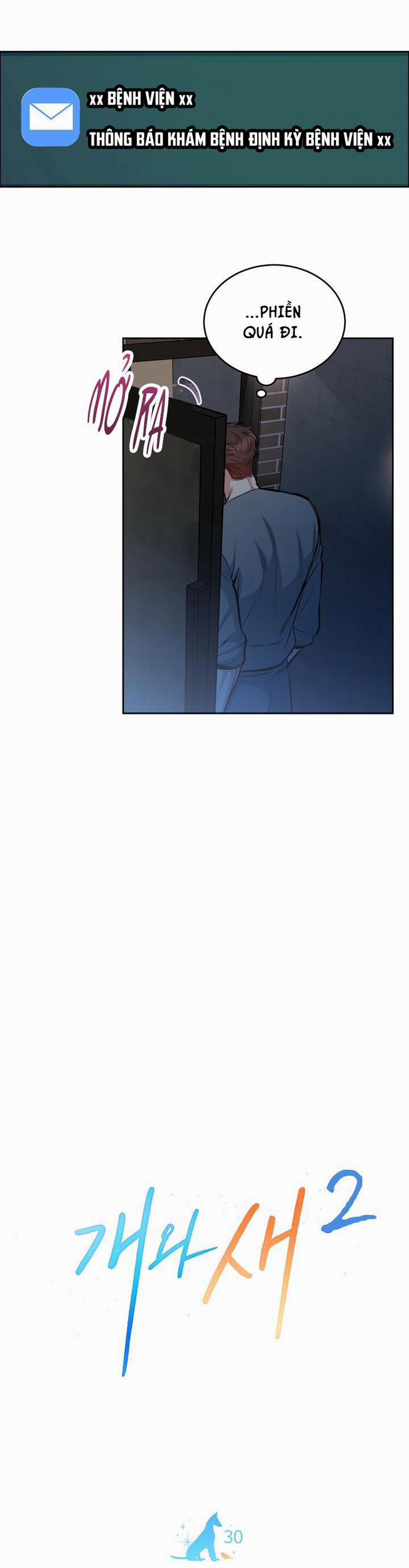 Chó Và Chim 30 trang 5