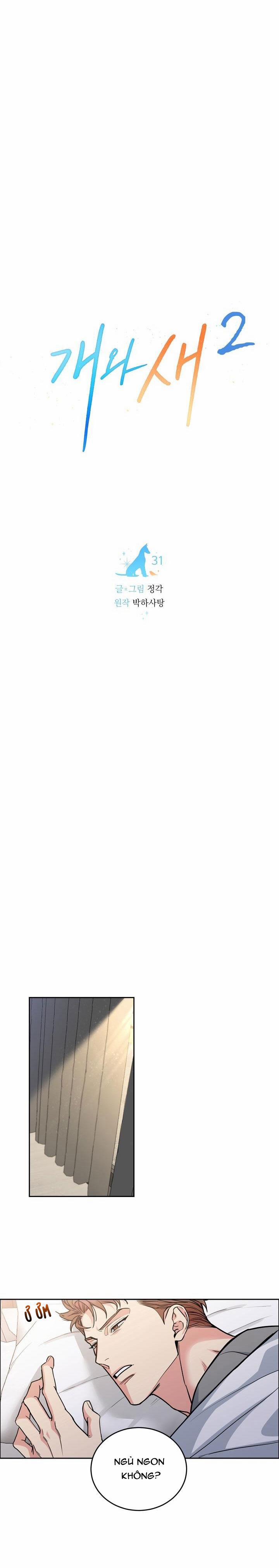 Chó Và Chim 31 Cấn bầu trang 8