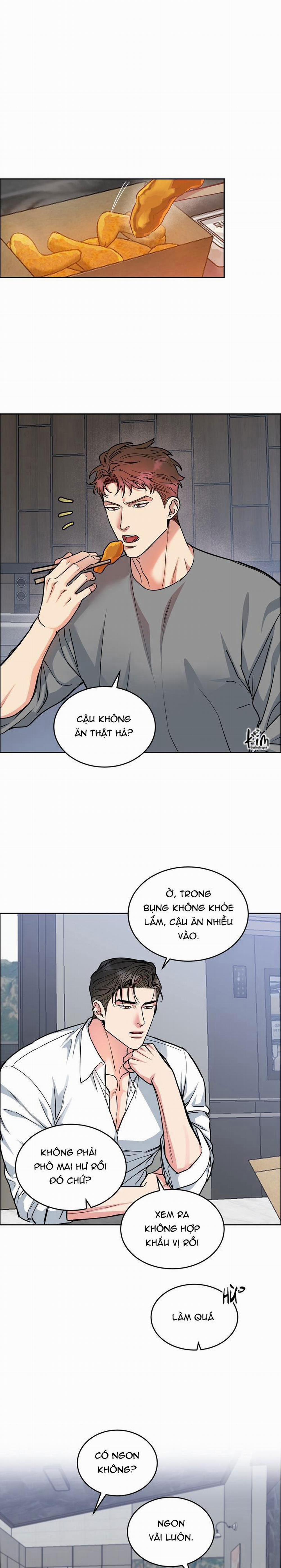 Chó Và Chim 31 trang 0