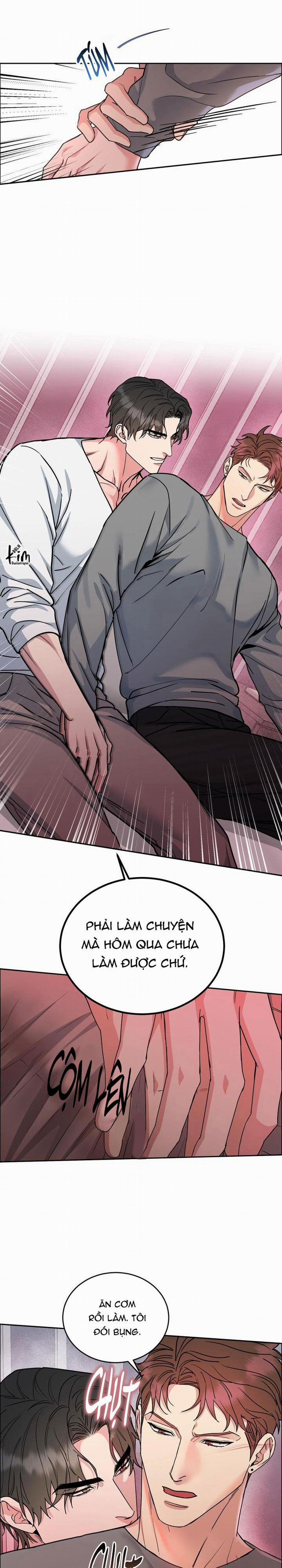 Chó Và Chim 31 trang 10