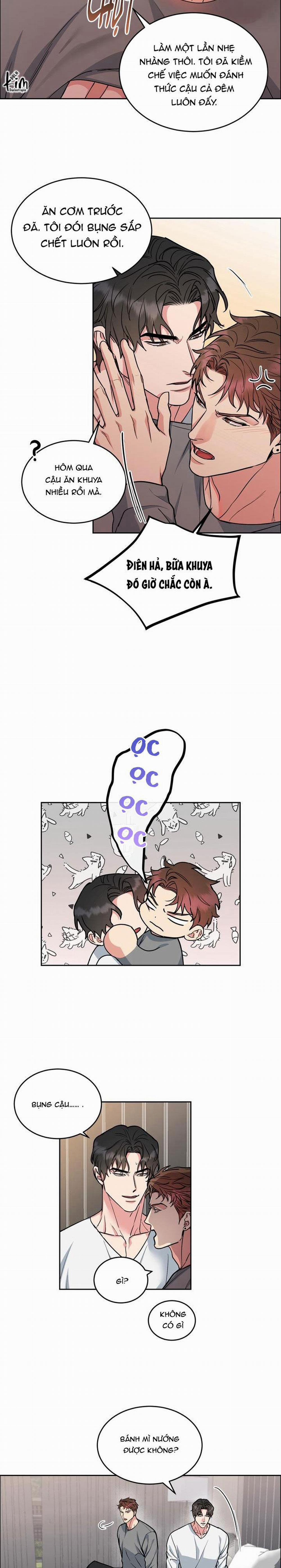 Chó Và Chim 31 trang 11