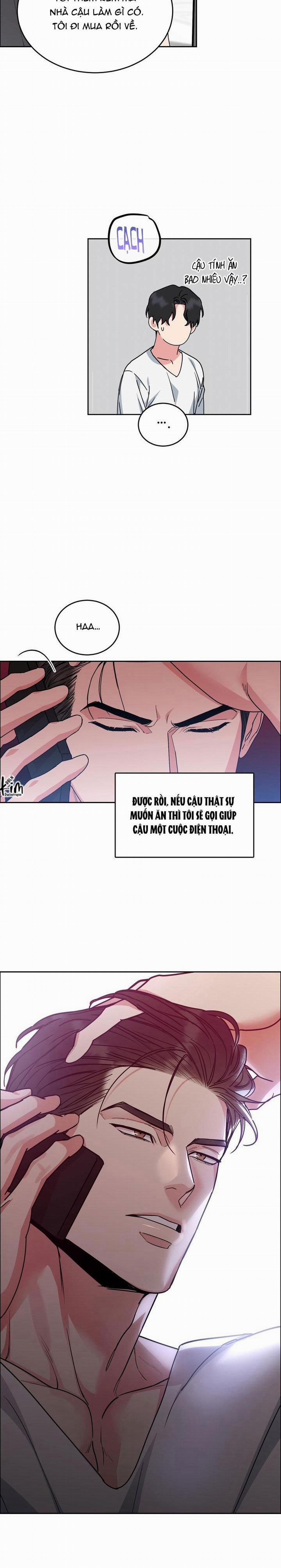 Chó Và Chim 31 trang 14