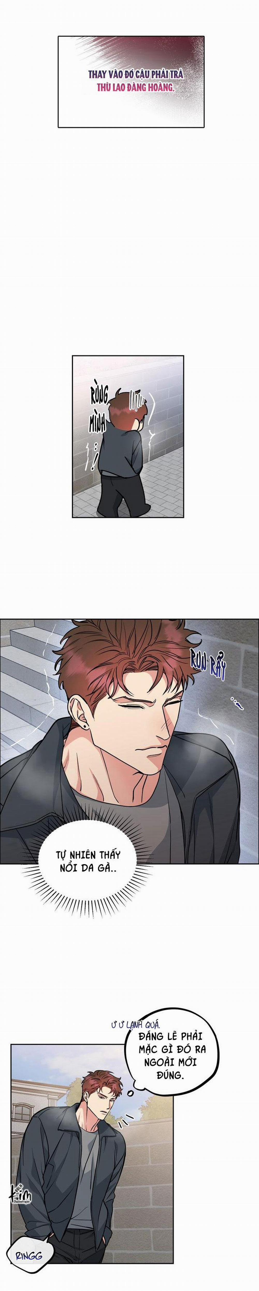 Chó Và Chim 31 trang 15