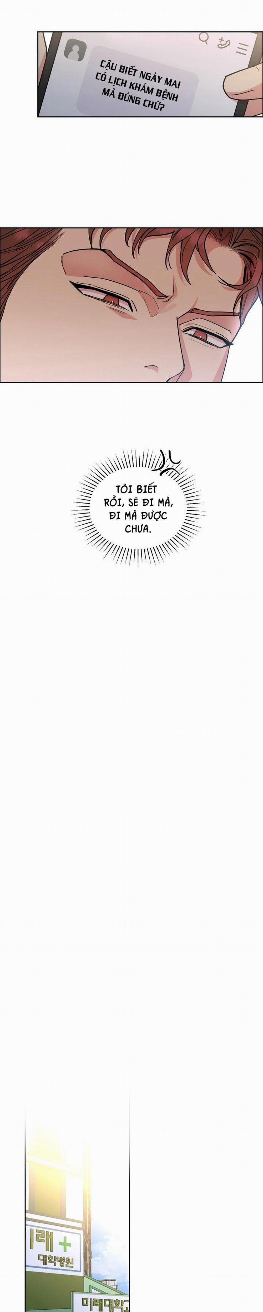 Chó Và Chim 31 trang 16