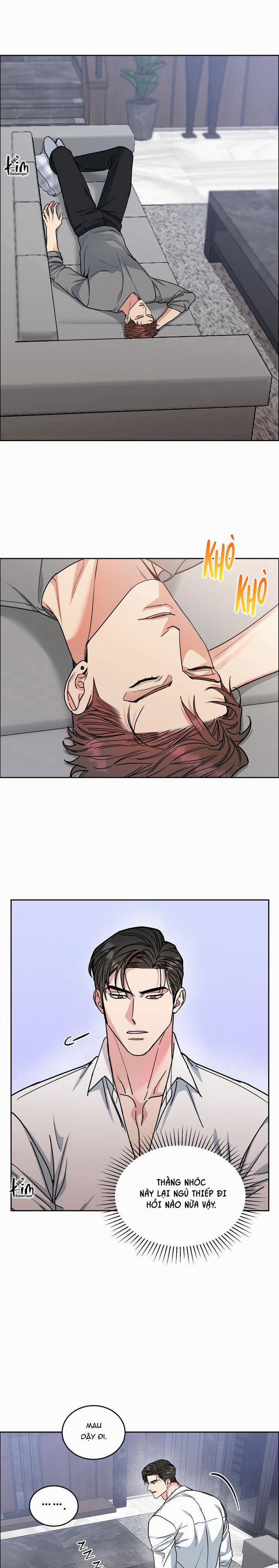 Chó Và Chim 31 trang 5