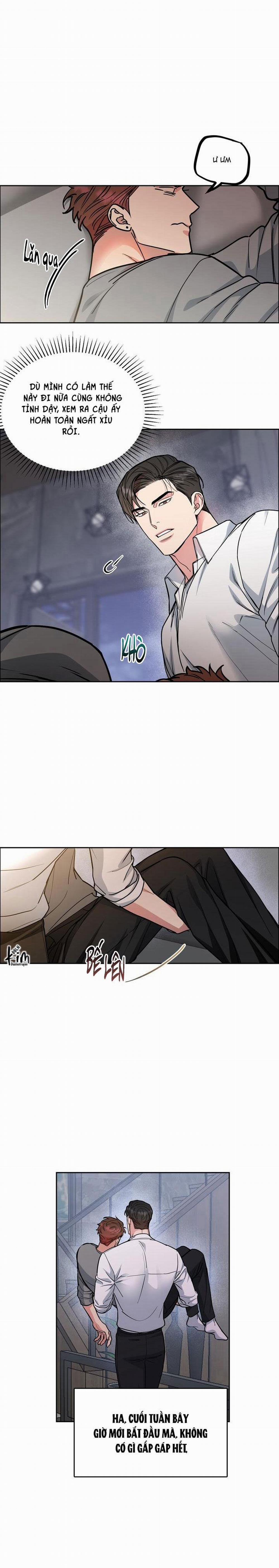 Chó Và Chim 31 trang 7