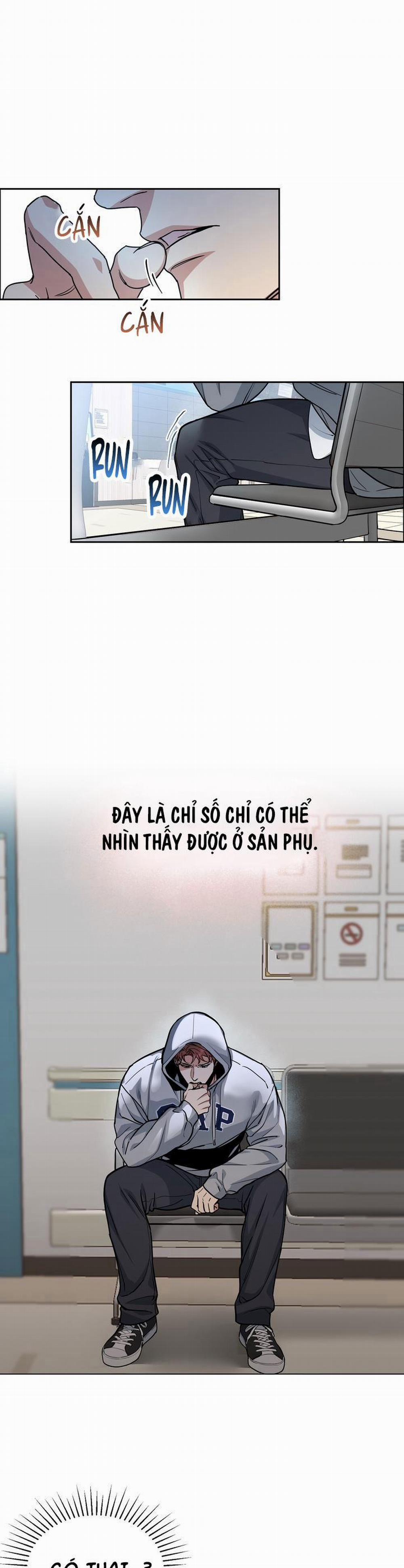 Chó Và Chim 32 trang 0