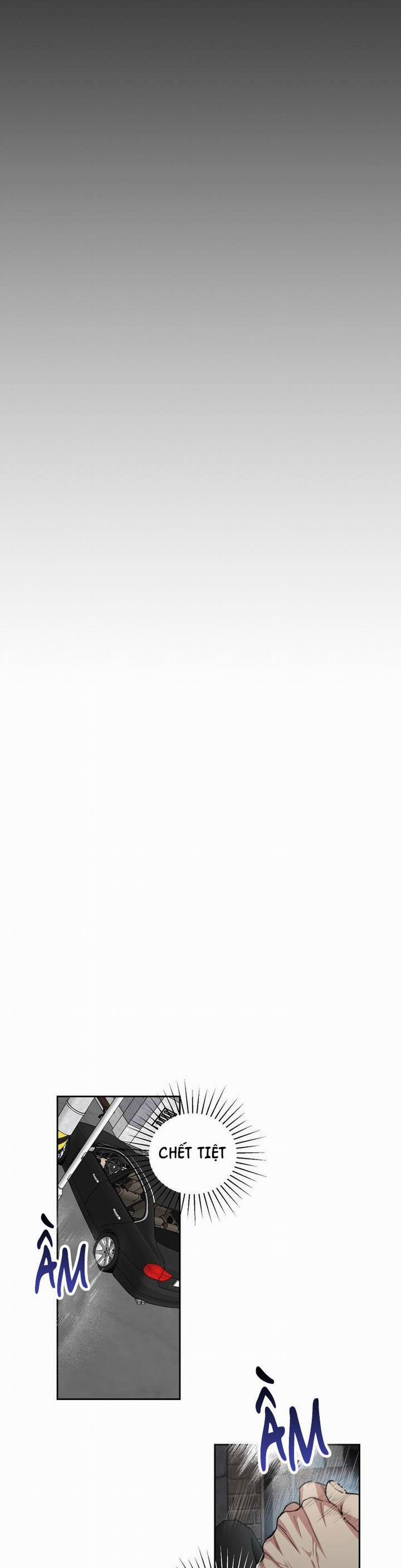 Chó Và Chim 32 trang 22