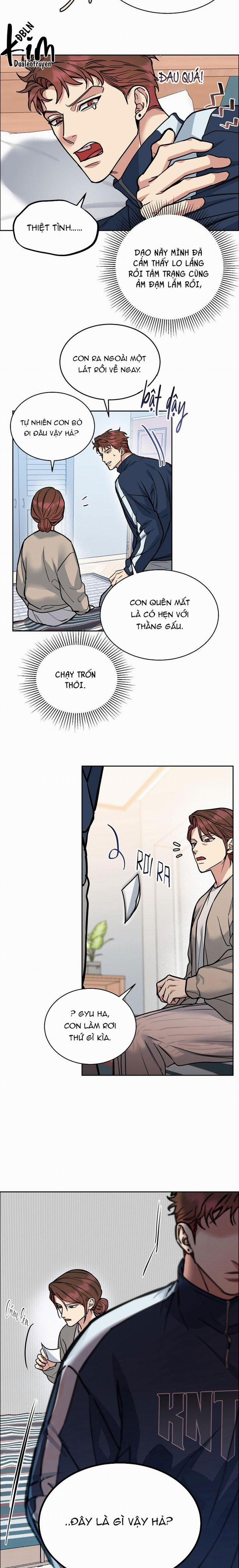 Chó Và Chim 33 trang 10