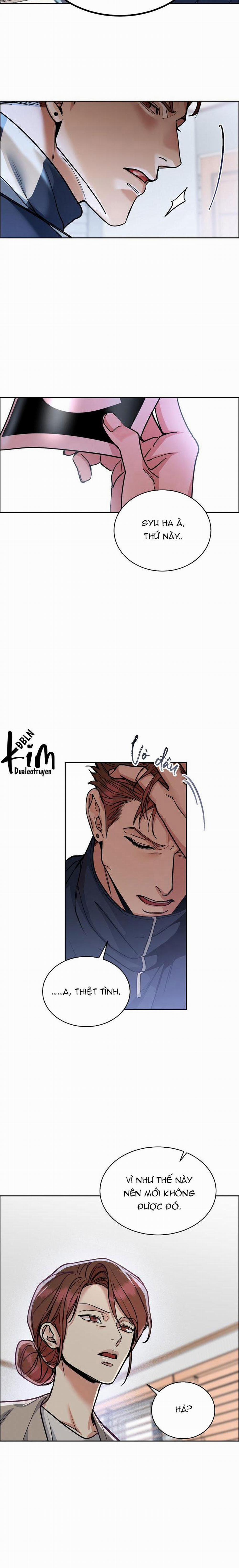 Chó Và Chim 33 trang 11