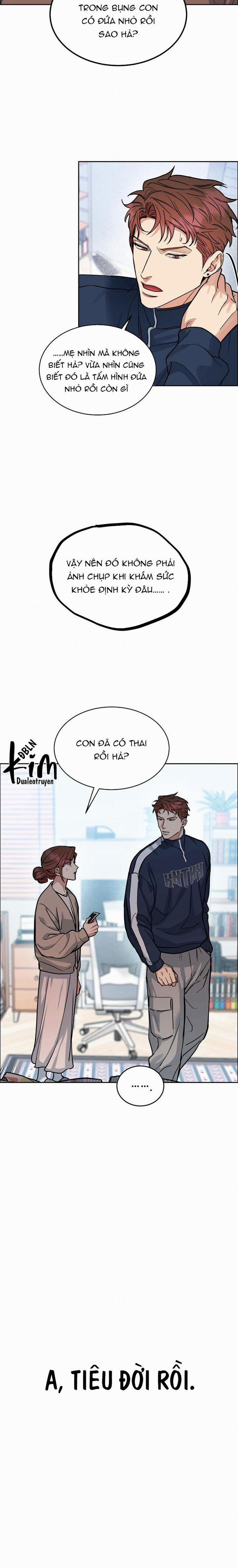 Chó Và Chim 33 trang 13