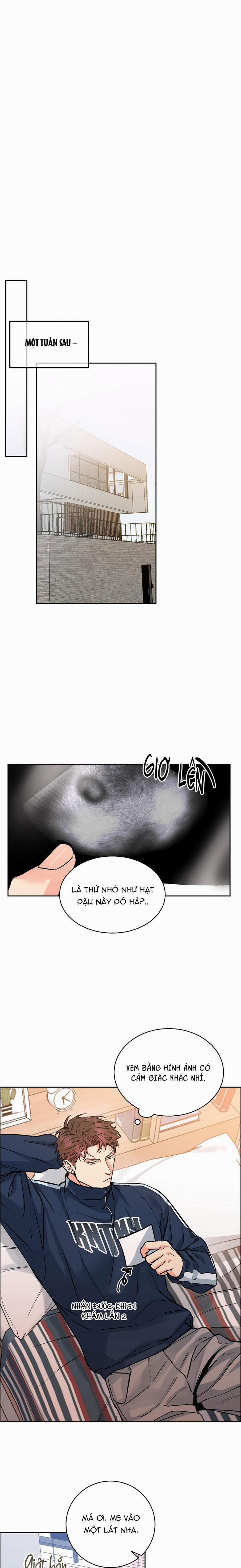 Chó Và Chim 33 trang 6