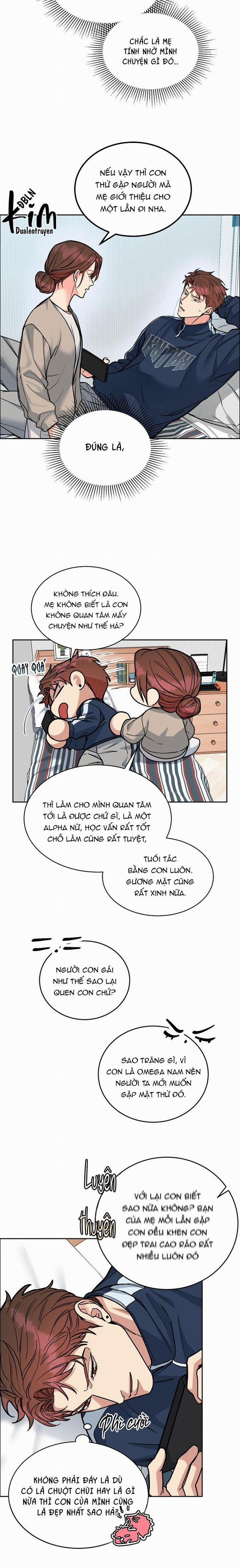 Chó Và Chim 33 trang 8