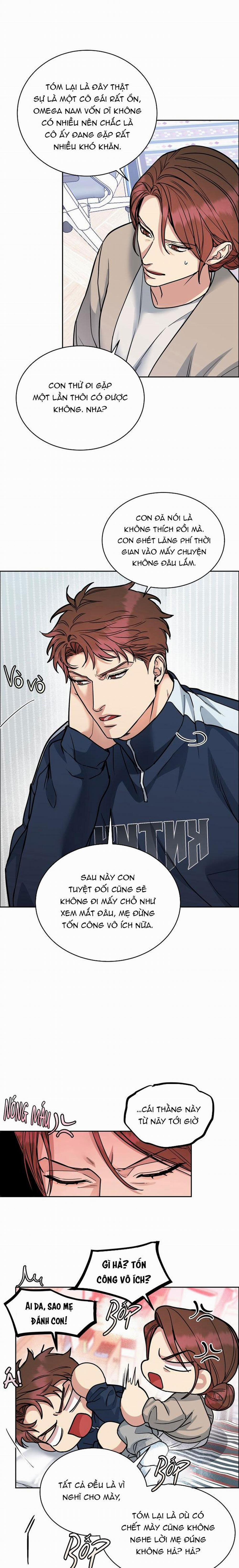 Chó Và Chim 33 trang 9