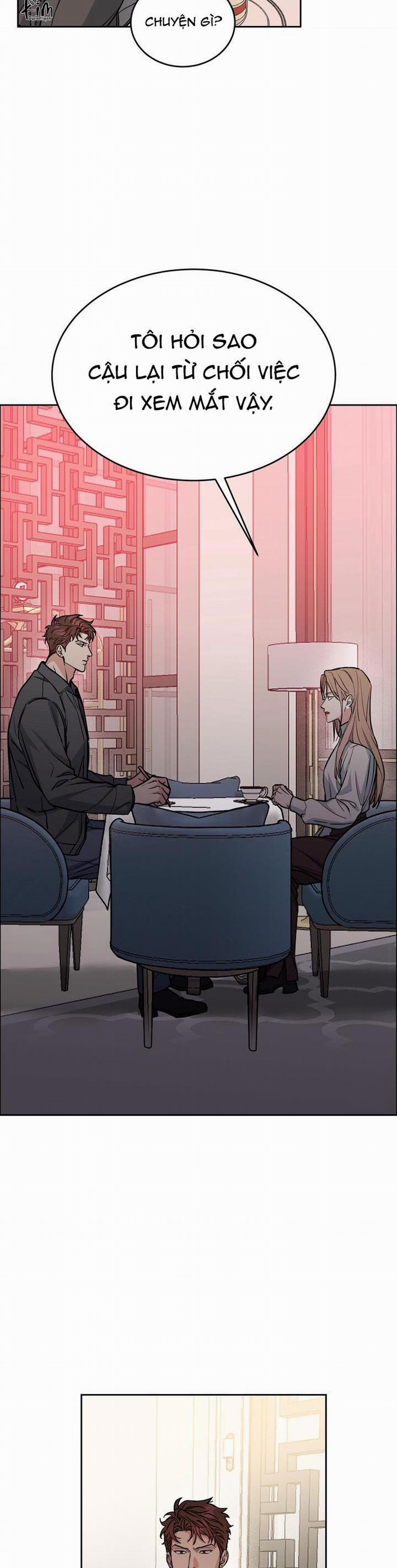 Chó Và Chim 34 trang 11