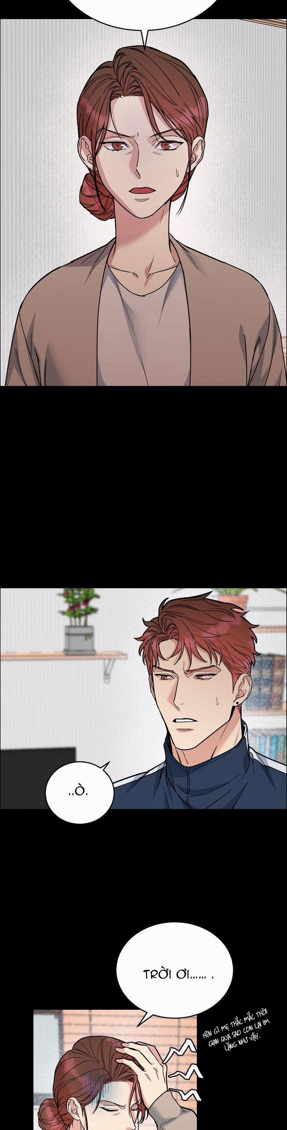 Chó Và Chim 34 trang 3