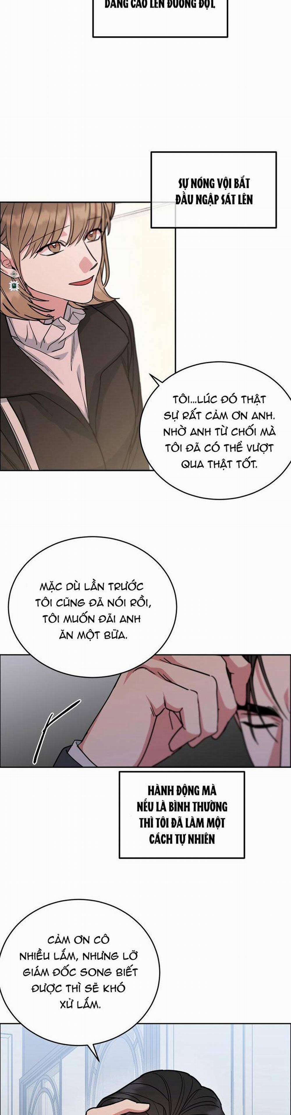 Chó Và Chim 34 trang 31