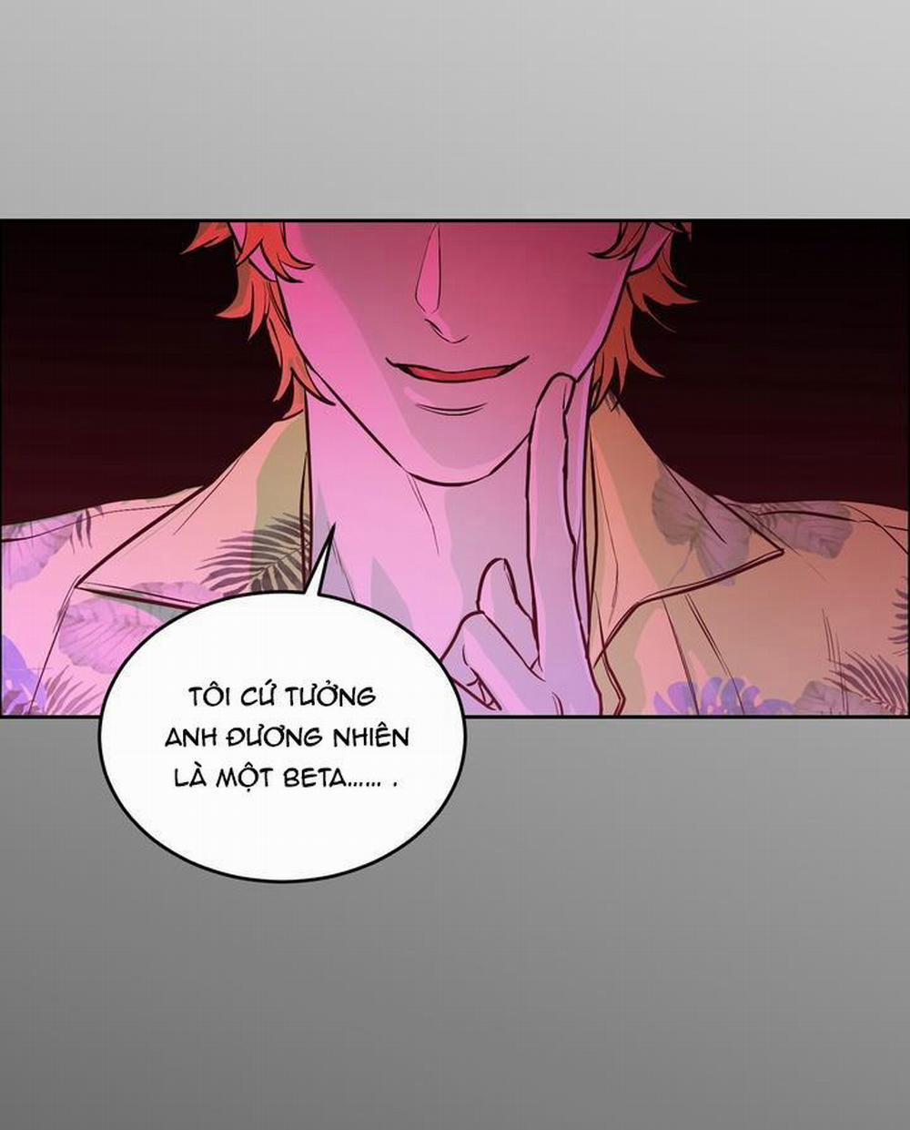 Chó Và Chim 35 trang 35