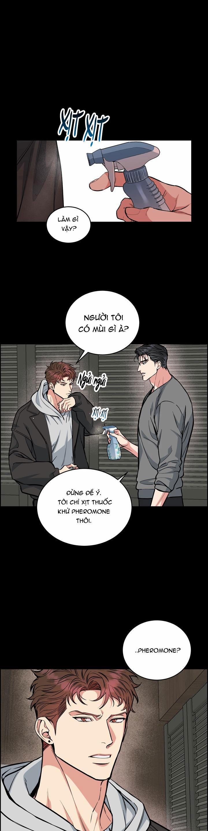 Chó Và Chim 37 trang 0