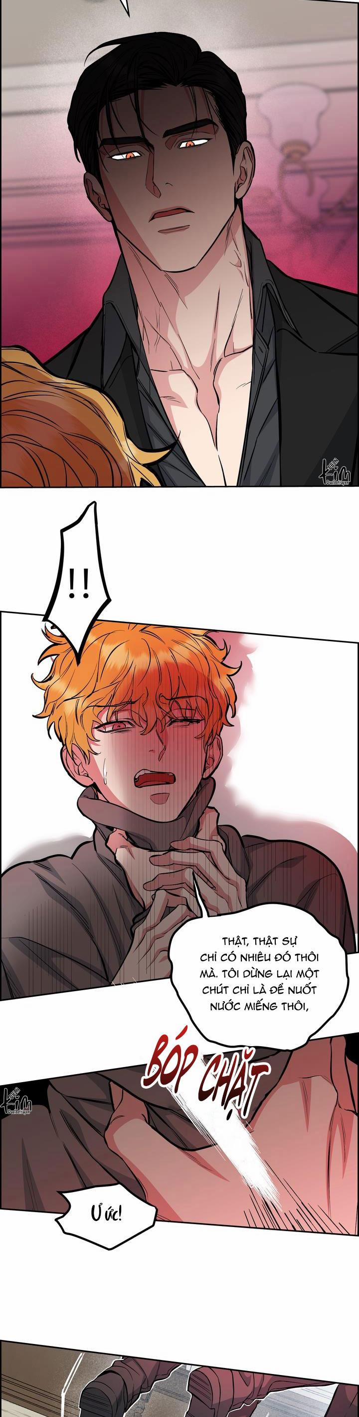 Chó Và Chim 37 trang 8