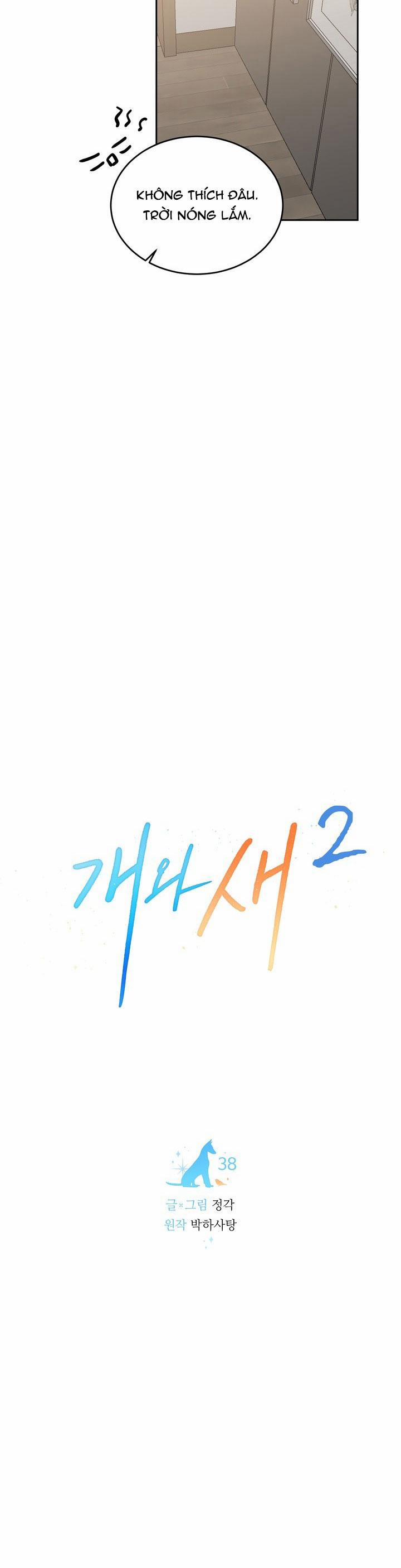 Chó Và Chim 38 trang 13