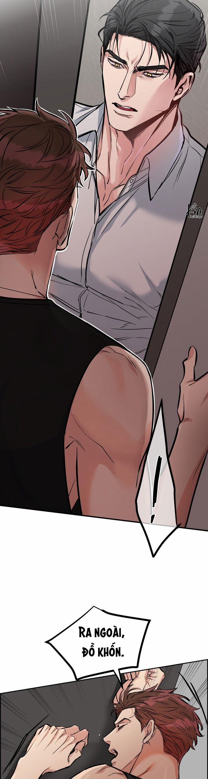 Chó Và Chim 38 trang 19