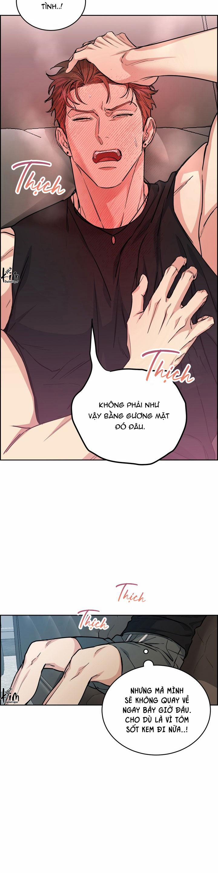 Chó Và Chim 40 trang 17